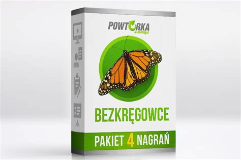  Wyrożnia: Wspaniałe Bezkręgowce z Cechą Wyjątkową!